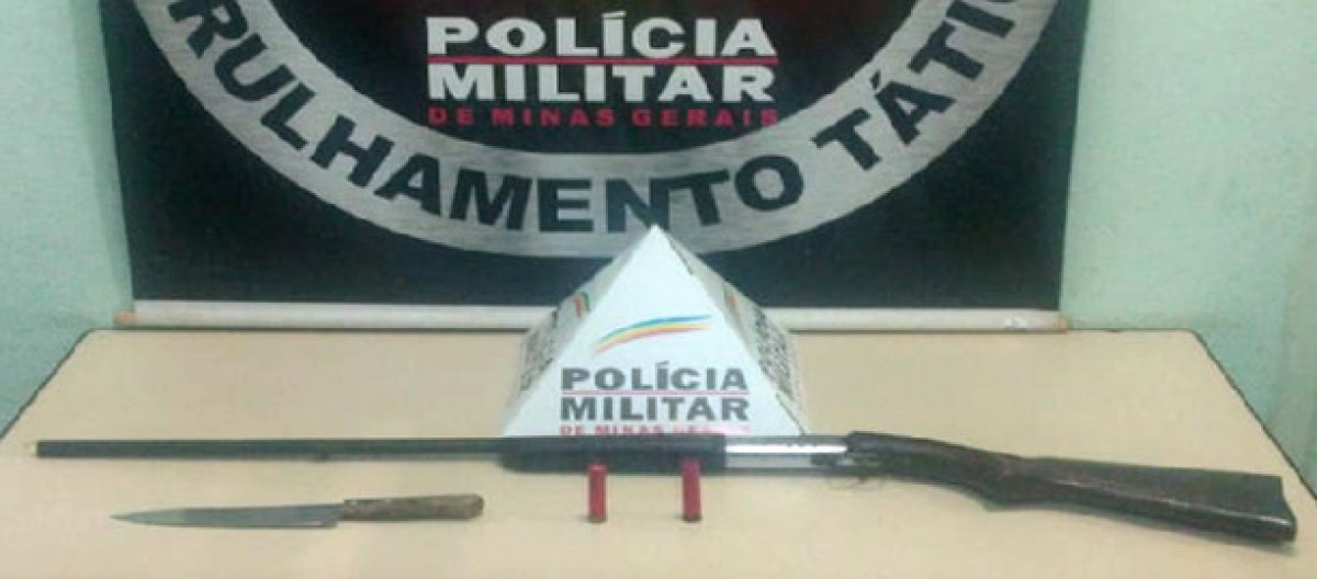 Armas de fogo e munições são apreendidas em Entre Rios de Minas e