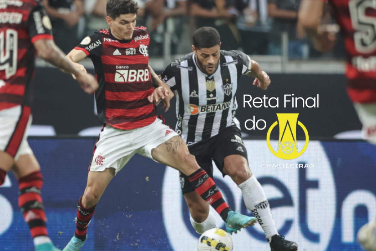 Flamengo 3 x 0 Palmeiras: Fla vence confronto direto e embola briga pelo  título do Brasileirão