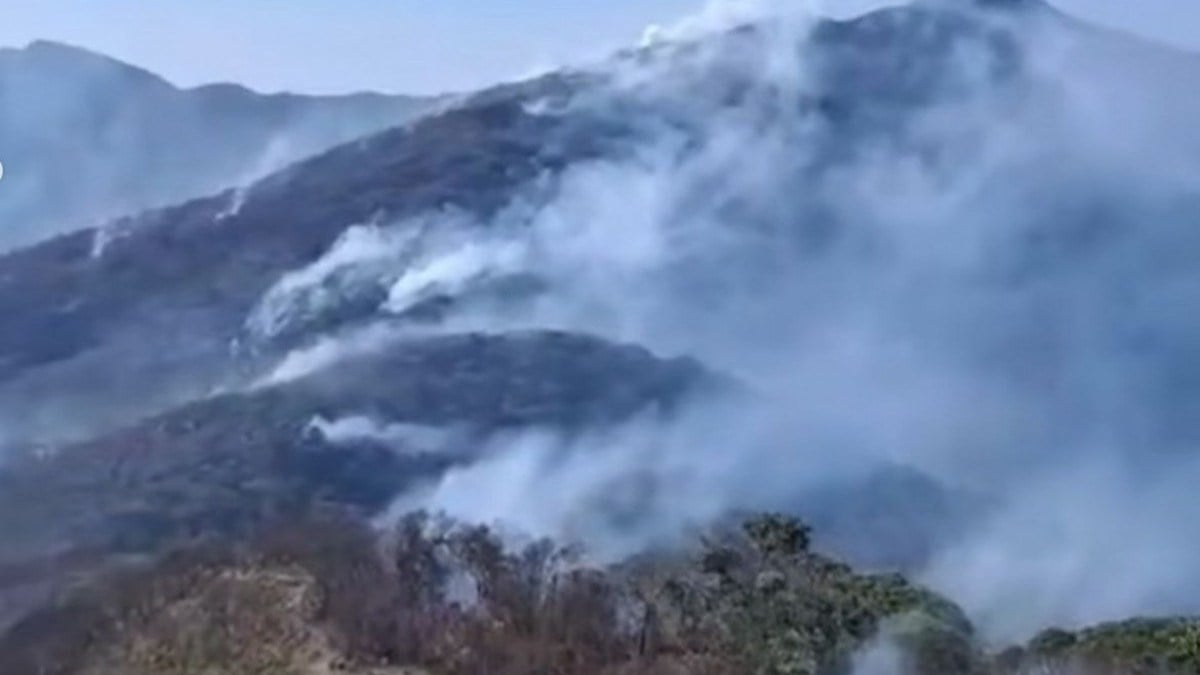 Governo investiga mais de 20 pessoas por incêndios florestais no Rio