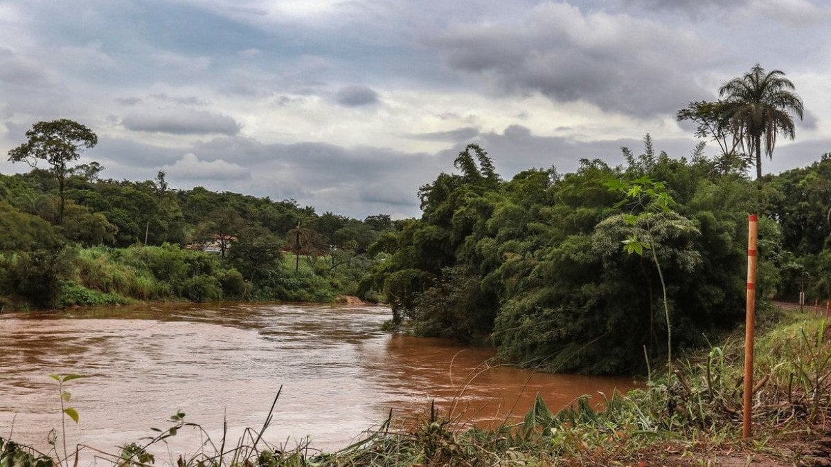 Estudo detecta presença de metais na urina de crianças em Brumadinho