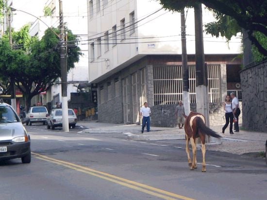 Foto de vaga na rua