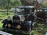 Ford 31