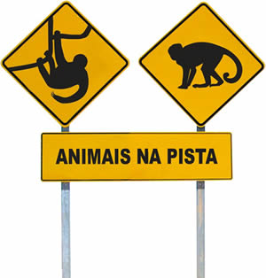 Foto de placa de animais