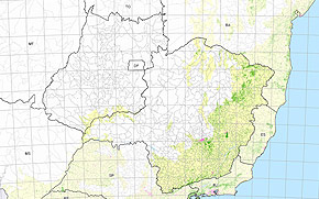 Mapa dos Remanescentes em Minas Gerais