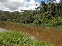 Rio Paraibuna