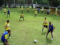 Treino recreativo do tupi