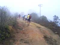 Grupo caminhando no bairro Grama