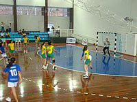 Handebol