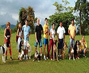 Foto de cachorros passeando com os donos