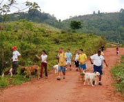 Foto de cachorros passeando com os donos