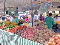 Foto de uma banca de feira com várioa alimentos, como inhame, tomate, celbola e pepino