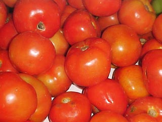 tomate