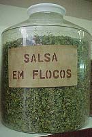 Foto de um pote com salsa em flocos