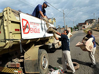 Ação de combate à dengue