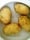 Vamos começar com as batatas. Lave 1kg de batata inglesa, que é a mais indicada para purês, coloque em uma panela com água fria até que suba a fervura e deixe fervendo até que fique macia, por mais ou menos 20 minutos.