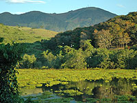 Foto do Paraíso das Garças