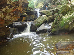 Foto de trilha ecológica em Sem Peixe