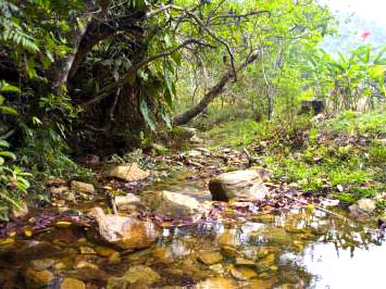 Foto de paisagem