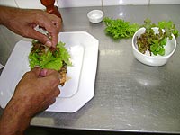 Foto da salada de camar?o com cogumelos pronta